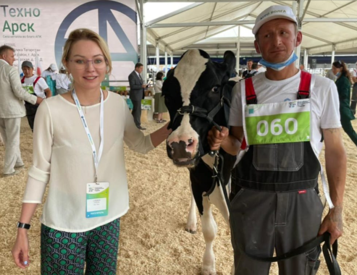 Елабужская корова заняла второе место в Международной выставке племенных животных