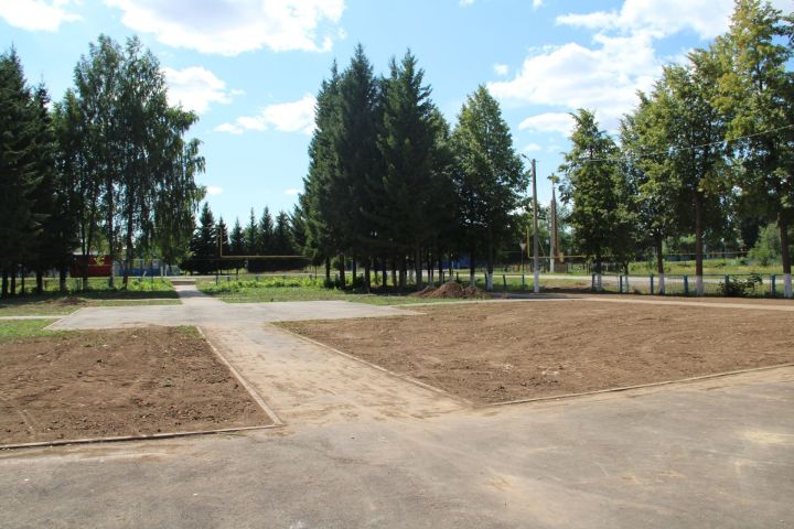 В Елабужском районе сельчане обустраивают парк