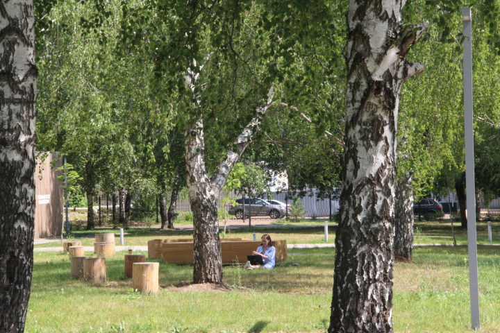 В Татарстане ожидается сухая и теплая погода