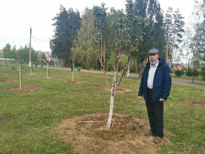 Житель Елабуги по собственной иницитиве высаживает для горожан фруктовый сад