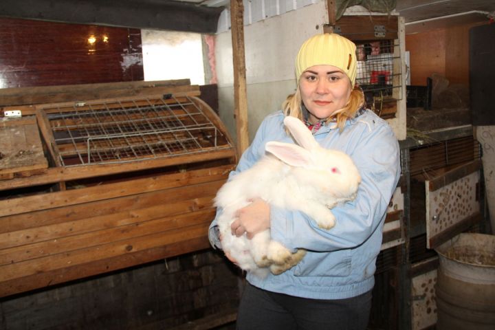 Елабужанка Ксения Денисенко рассказала, как задобрить символ года - кролика