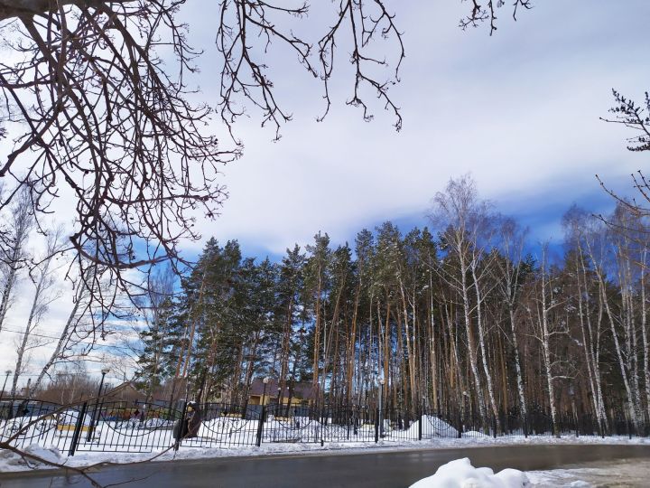 В Татарстане потеплеет до +8 градусов