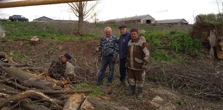 Жители Колосовки во время субботников приступили к очистке деревни от зарослей клена