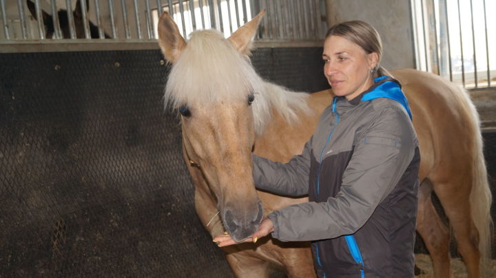 На Сабантуе в Елабуге впервые примут участие лошади татарской породы