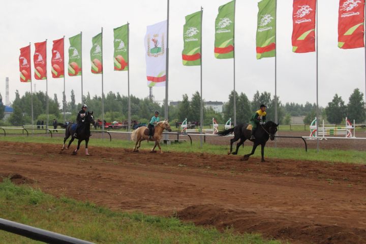 Конные скачки на Сабантуе в Елабуге пройдут в новом формате