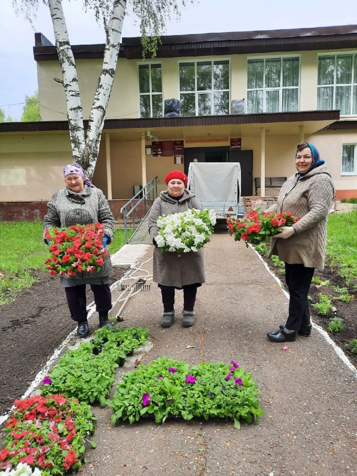 Сельские поселения Елабужского района получили рассаду цветов