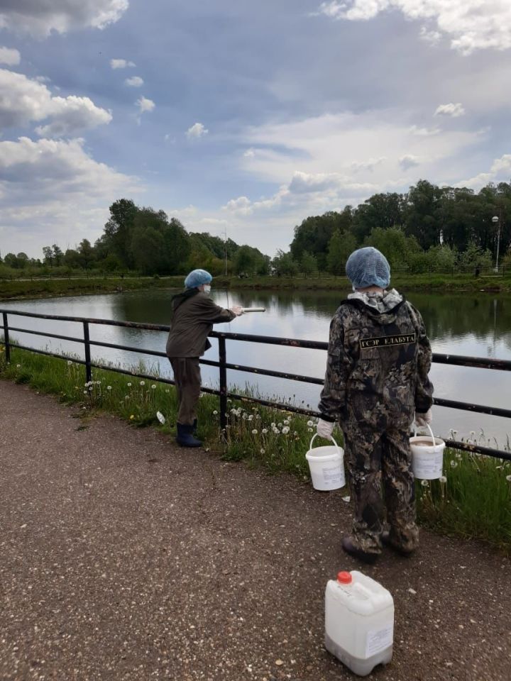 Елабужские водоемы и общественные места обрабатывают от малярийных комаров