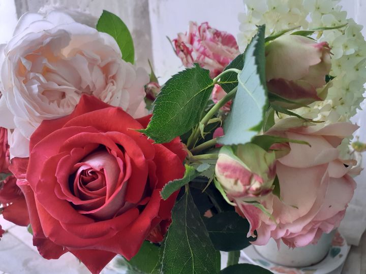 Почему нельзя хранить сухие розы дома?