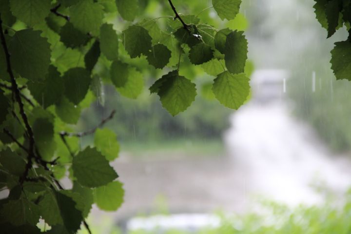 Сегодня в Татарстане ожидаются дожди и грозы