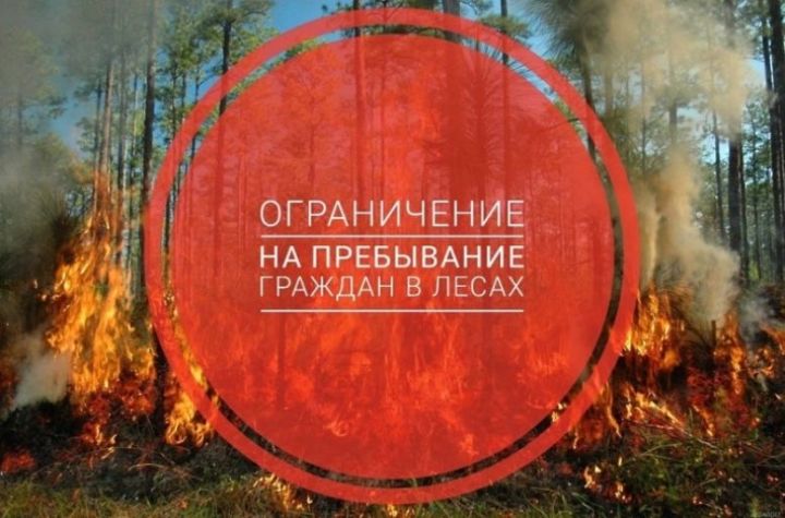 Нацпарк «Нижняя Кама» напоминает об ограничении пребывания в лесах