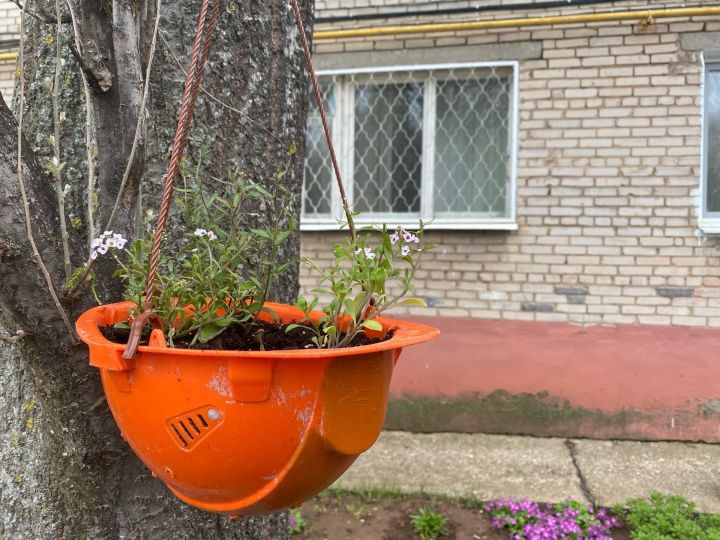 Продолжается голосование в фотоконкурсе «Мой цветущий двор»