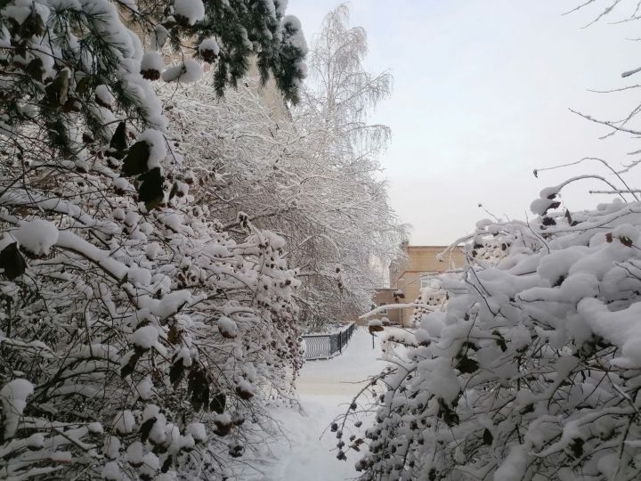 В Татарстане на январские праздники выпадет небольшой снег