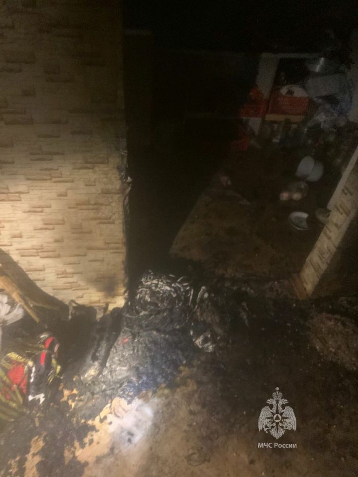 В Елабуге на пожаре спасли женщину
