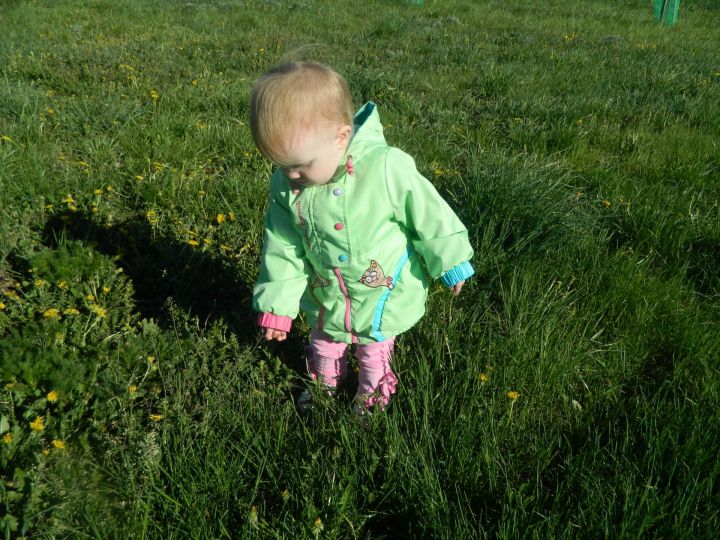 В Елабуге заработал ресурсный центр «Территория успешного родительства»