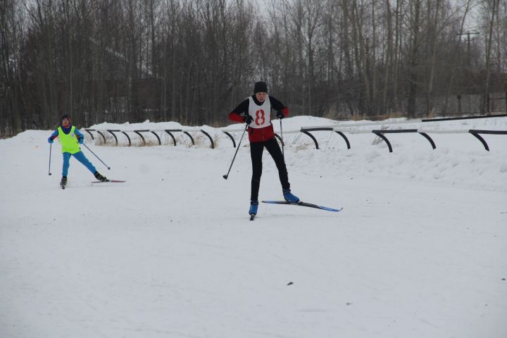 Елабужские школьники состязались в лыжных гонках