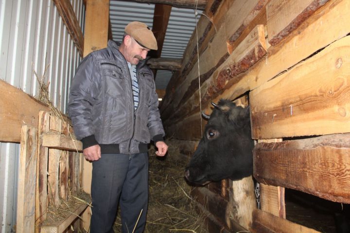 В Елабужском районе бывший строитель развивает мини-ферму благодаря республиканскому гранту