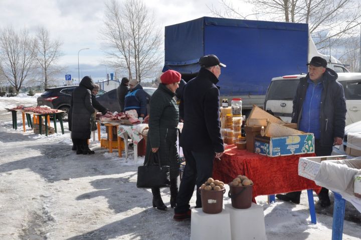 В Елабуге на первой сельхозярмарке продали товаров на 657 тыс. рублей