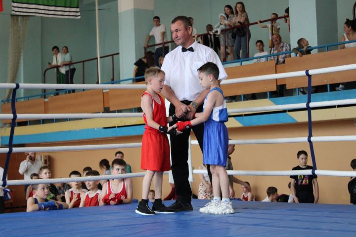 В Елабуге прошел турнир по боксу памяти Марселя Мухутдинова, погибшего в зоне СВО