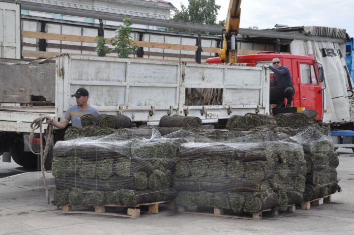 В Елабуге на площади Ленина укладывают газон