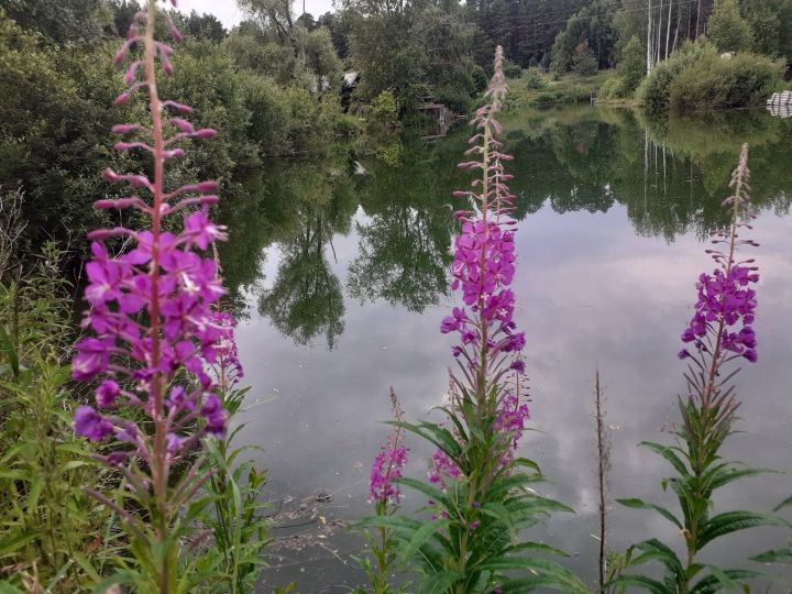 Деревни, которых уже нет на карте Елабужского района