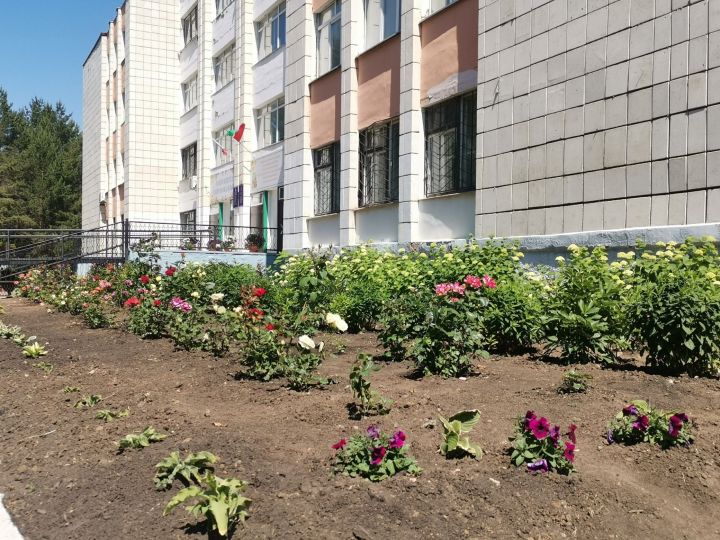 В Елабуге выпускник многопрофильного лицея №10  сдал ЕГЭ на 100 баллов