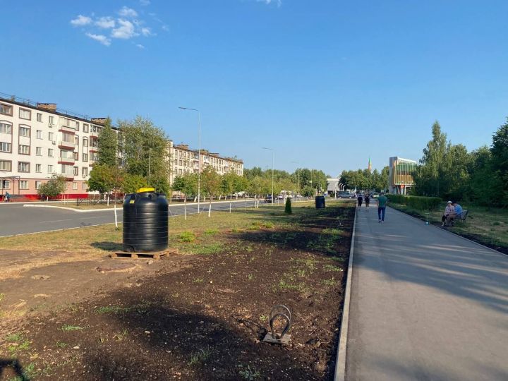 В Елабуге для деревьев устанавливают круглосуточный полив