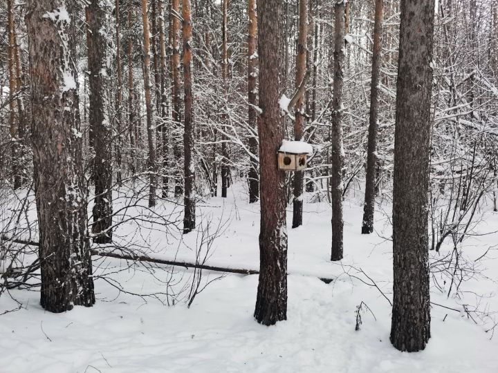 Народные приметы - что нельзя делать 1 января