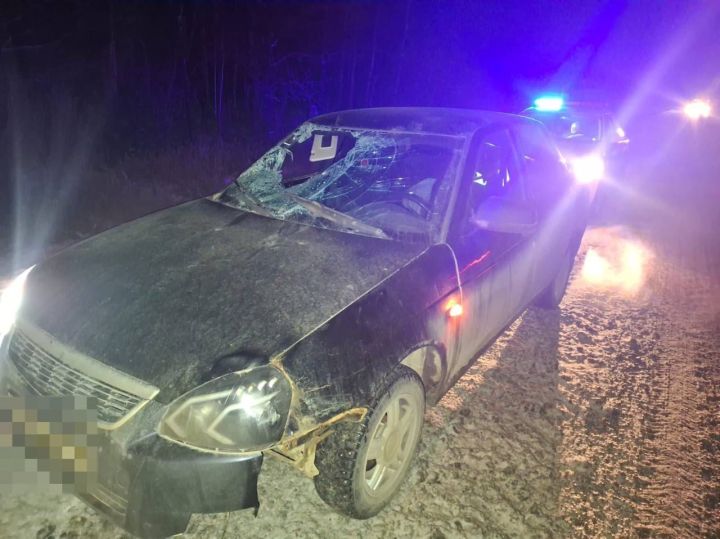 В Татарстане в аварии с лосем пострадала 20-летняя девушка
