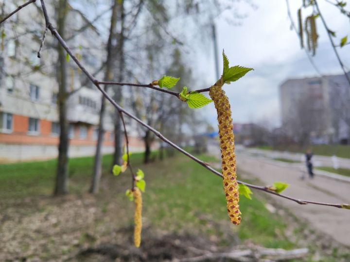 Приметы на 22 апреля 2024 года: что категорически запрещается делать в этот день