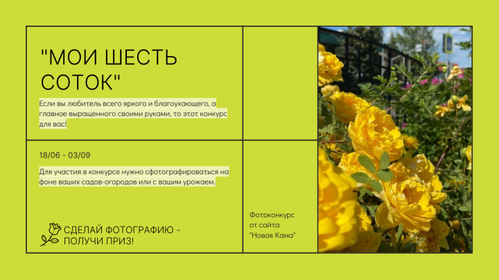 «Новая Кама» объявляет о новом фотоконкурсе «Мои шесть соток»