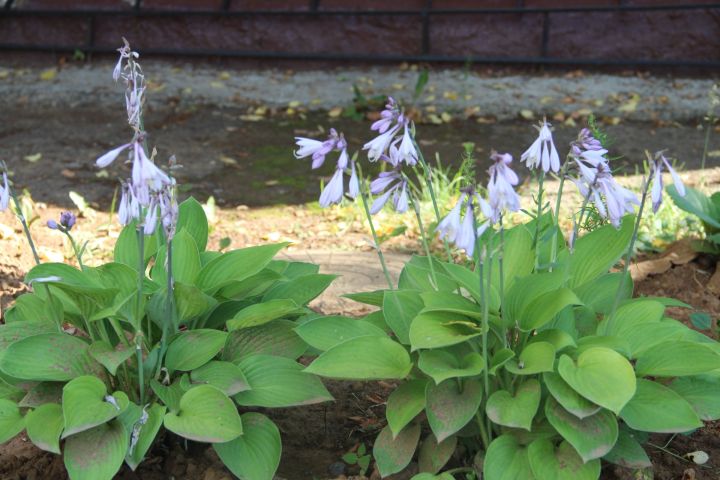 Приметы на 26 июня 2024 года: что категорически запрещается делать в этот день