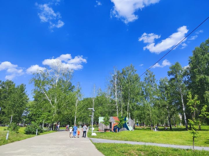 12 советов елабужанам как пережить летний зной