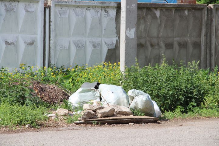 30 несанкционированных свалок выявлено в Елабужском районе