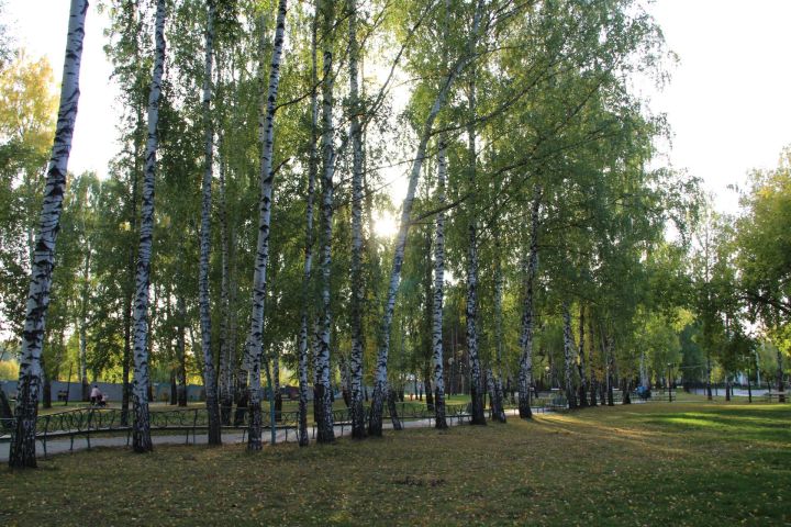 22 июня – Кириллов день: традиции, приметы и запреты Солнцеворота