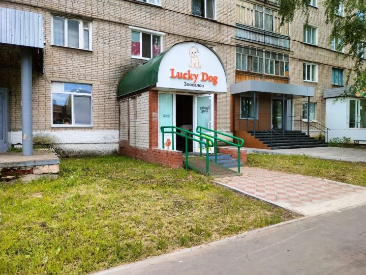 Ответственные и безответственные: елабужан призывают следить за своими территориями