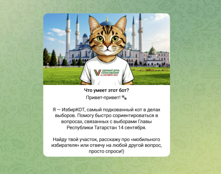 В Татарстане запустили чат-бот «ИзбирКОТ» для молодых избирателей