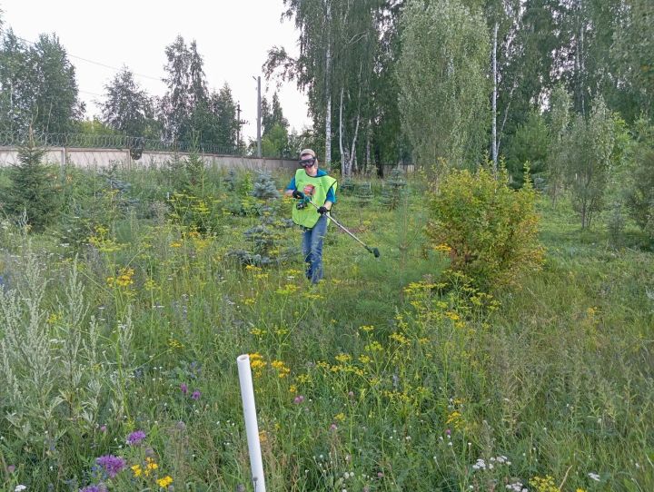 Волонтеры провели очередной агроуход в Зеленом сквере Елабуги