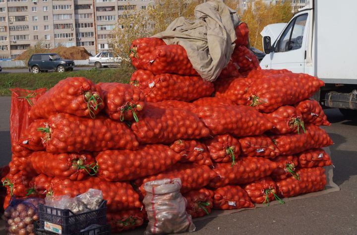 В Елабуге открывается сезон сельскохозяйственных ярмарок