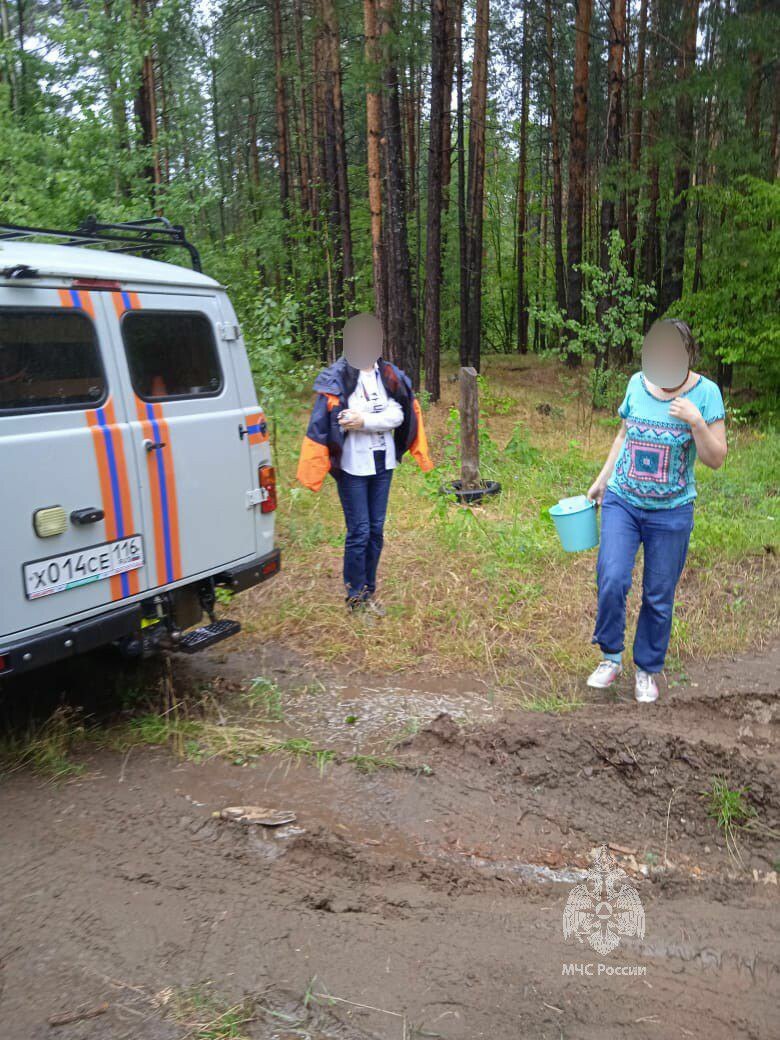  В Танаевском лесу заблудились две елабужанки