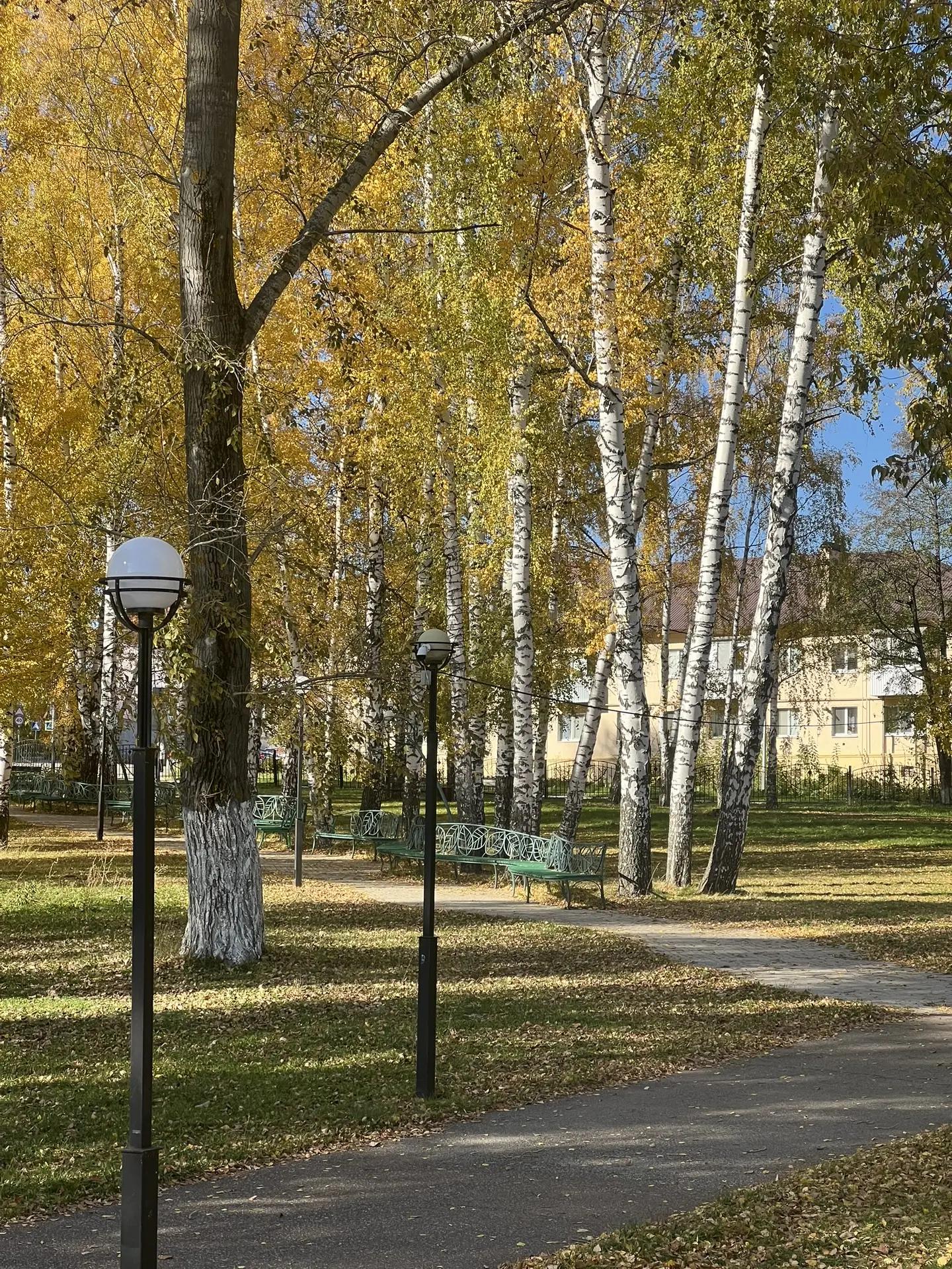 Осень 2026 в Елабуге