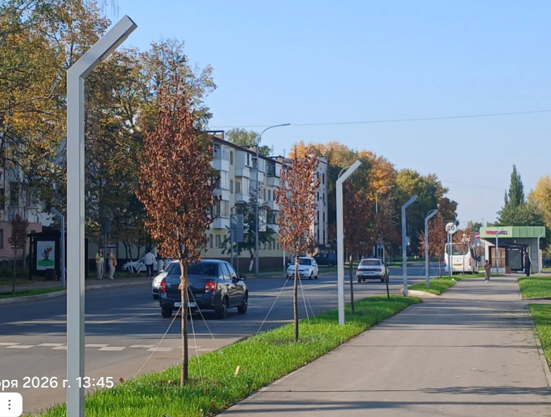 На улицах Елабуги высаживают липы, ели, каштаны и другие деревья