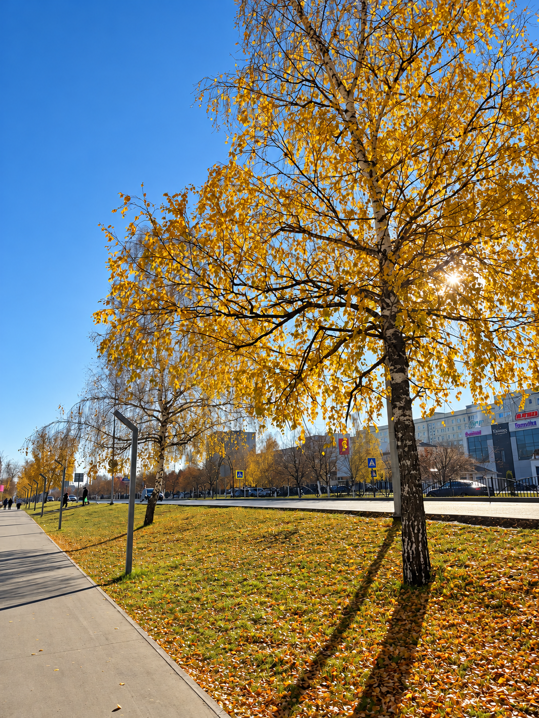 Прогноз погоды в Татарстане 