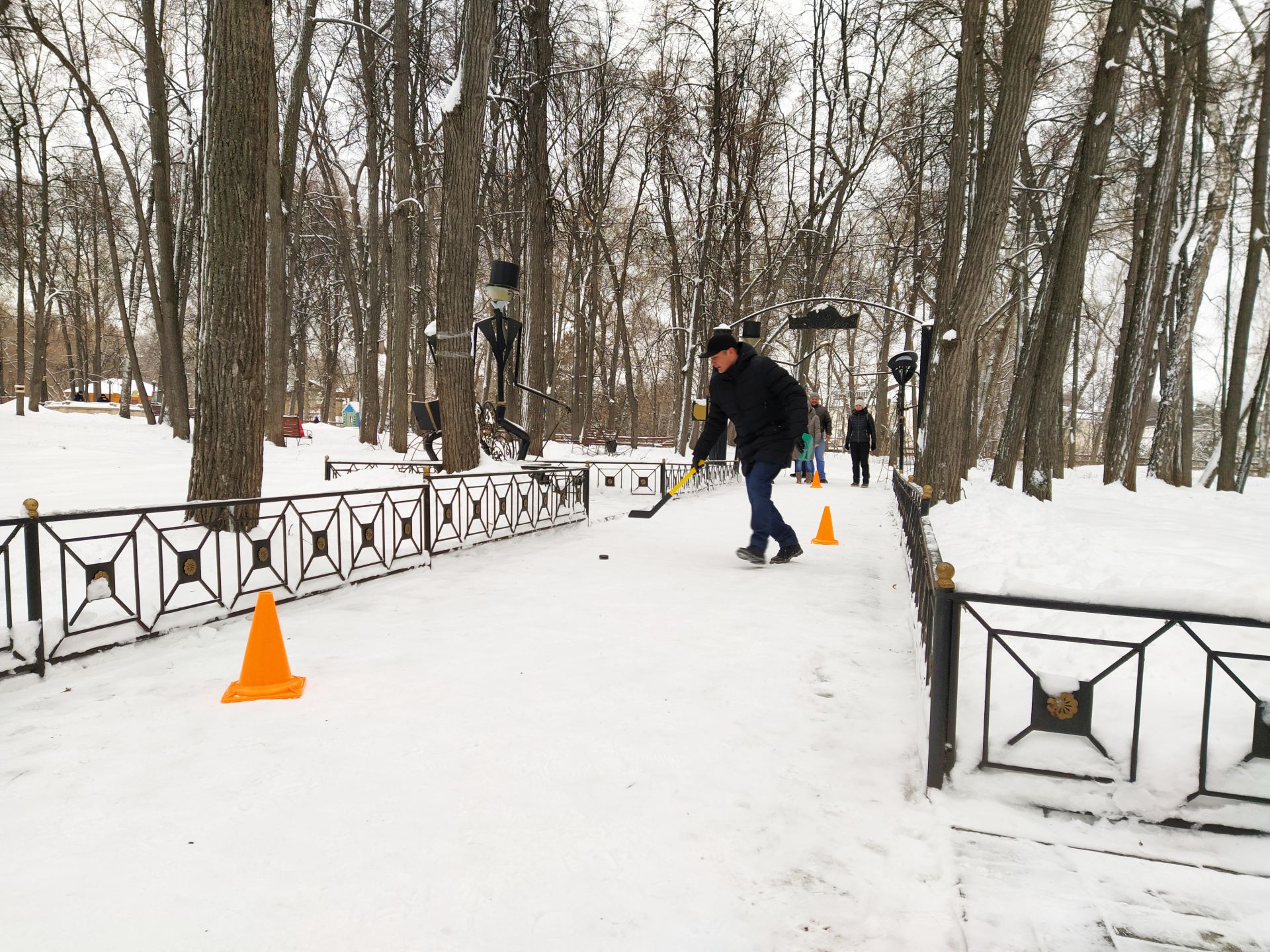 В Александровском саду Елабуги прошел квест "Зимний лес"