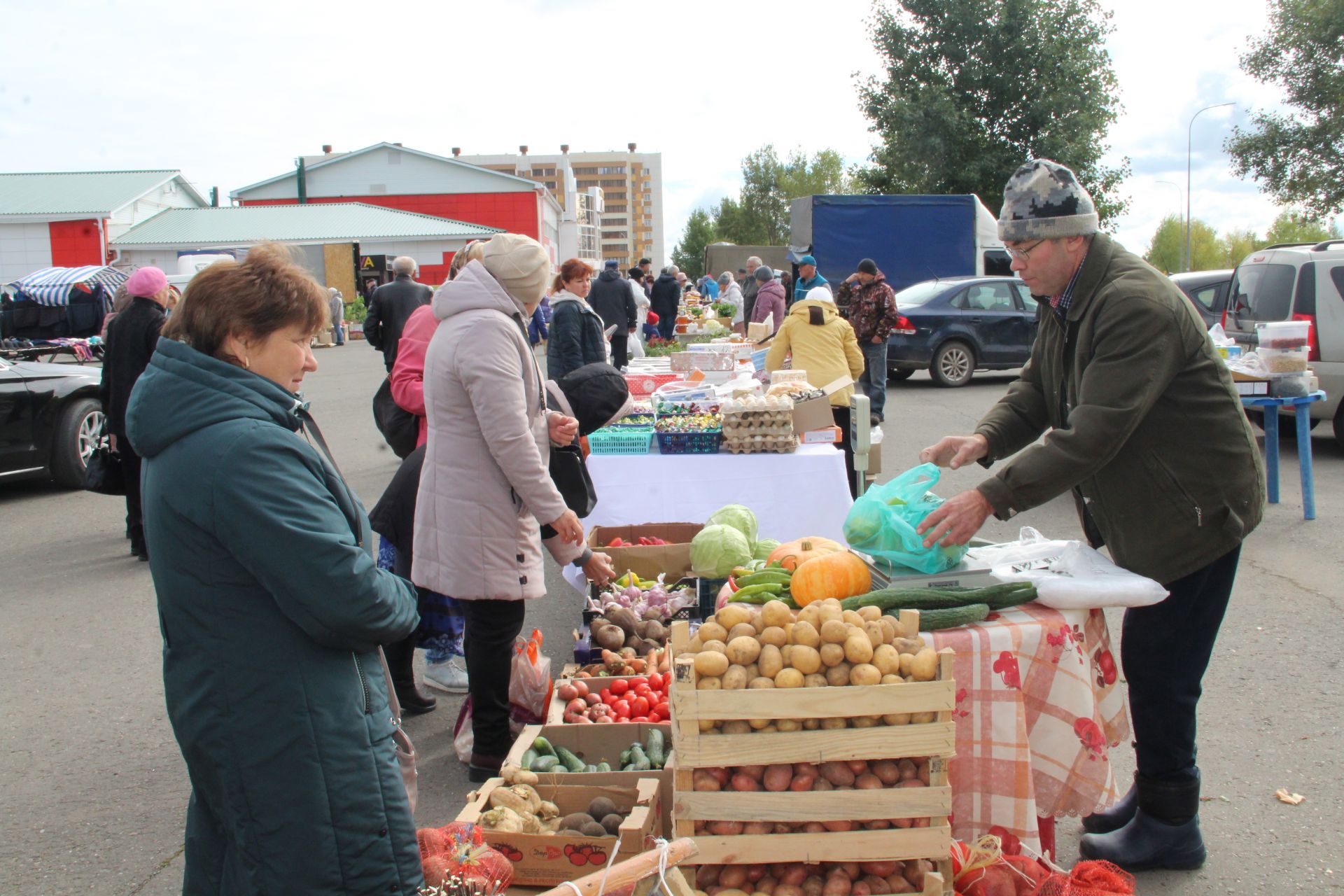 Елабужане могут закупиться фермерскими продуктами на сельхозярмарках