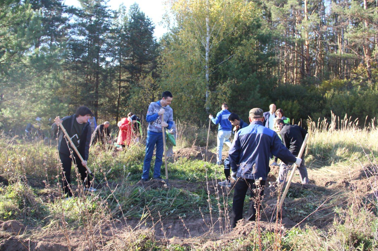 В Елабуге дан старт посадке деревьев