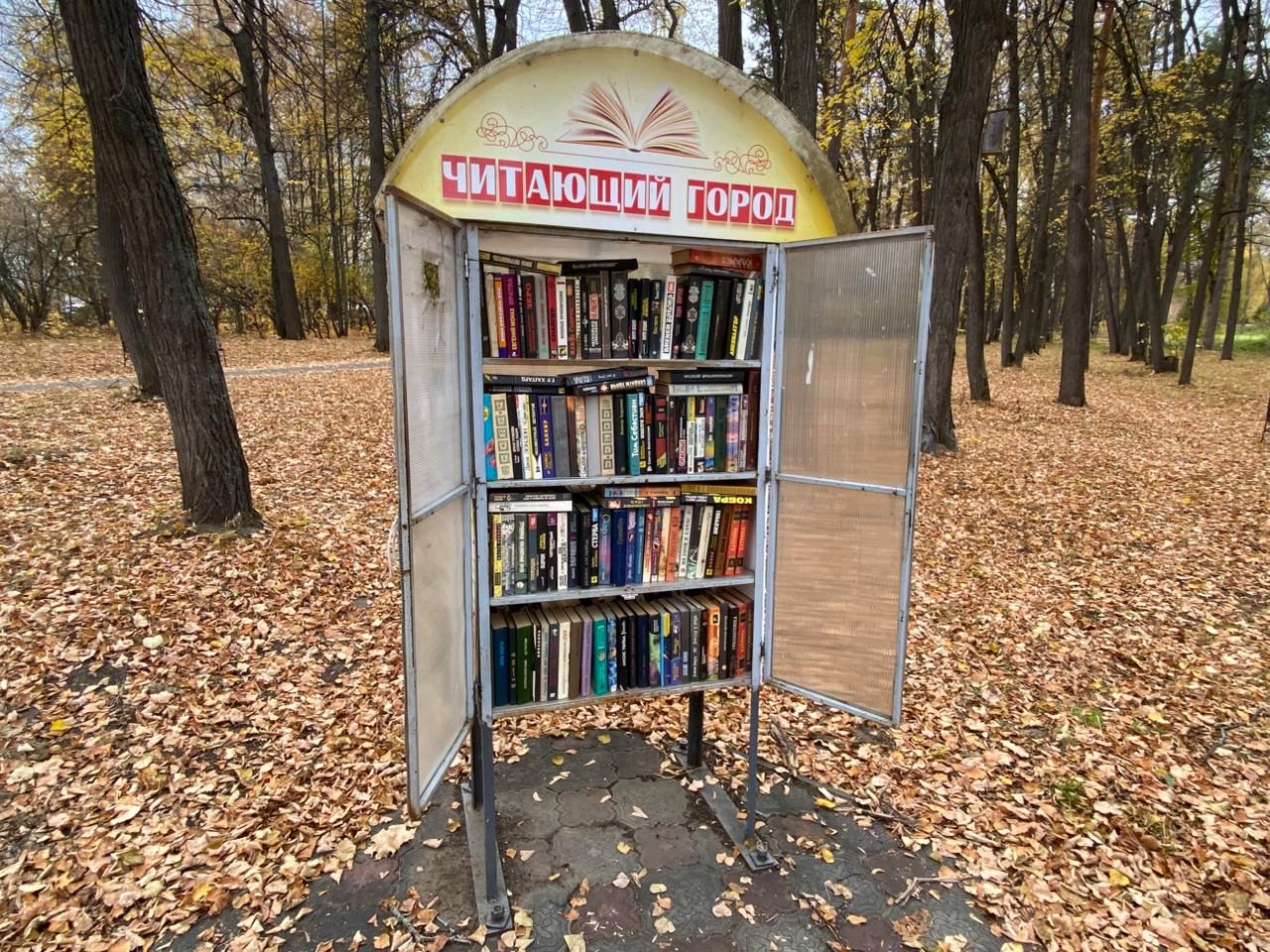 В Елабуге прошла акция «День книгодарения» по инициативе ветеранов комсомола