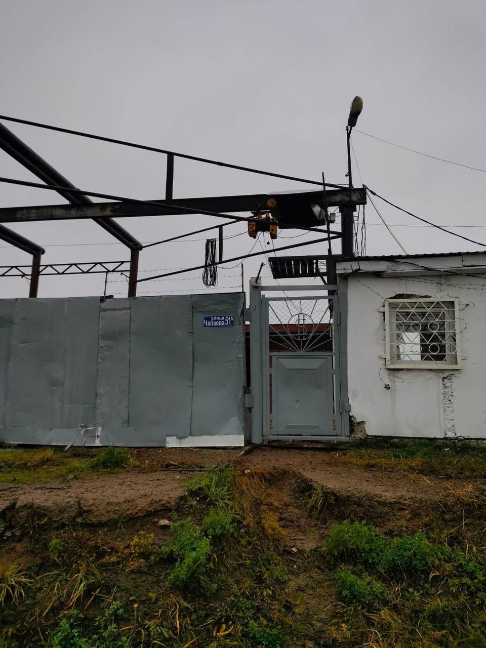 В четвертом микрорайоне Елабуги провели отлов опасных собак с участием зоозащитников