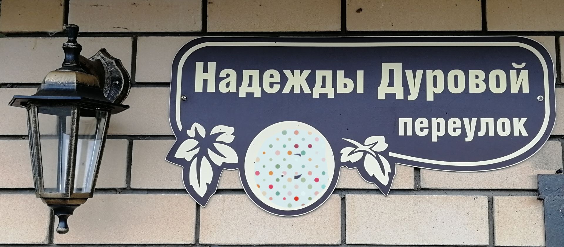 Улицы Елабуги, названные именами защитников Отечества: Надежда Дурова