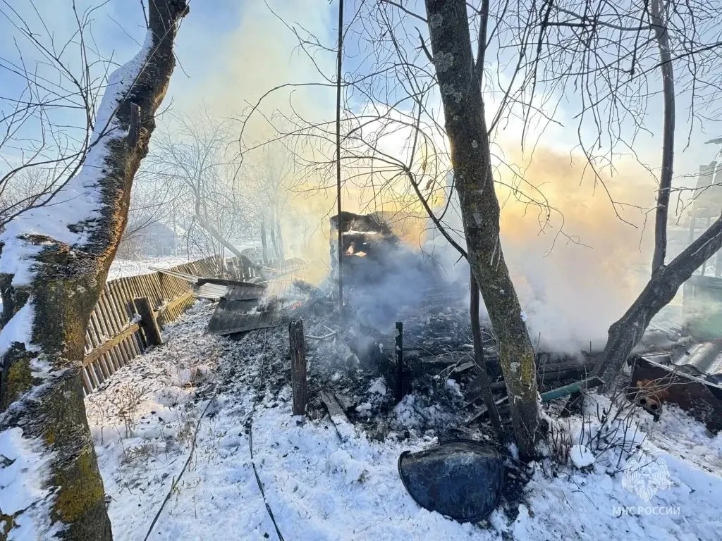Пожарный извещатель спас многодетную семью от пожара, вызванного новогодней гирляндой