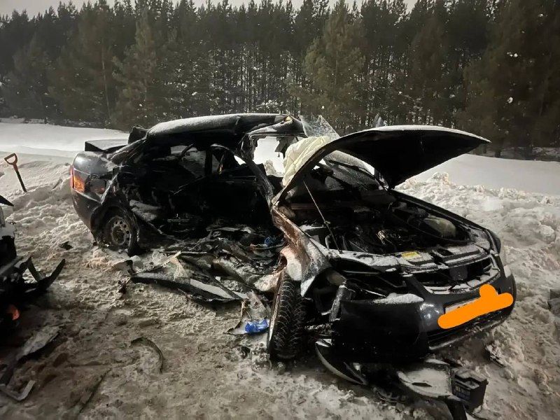 В Елабужском районе в результате лобового столкновения погиб водитель